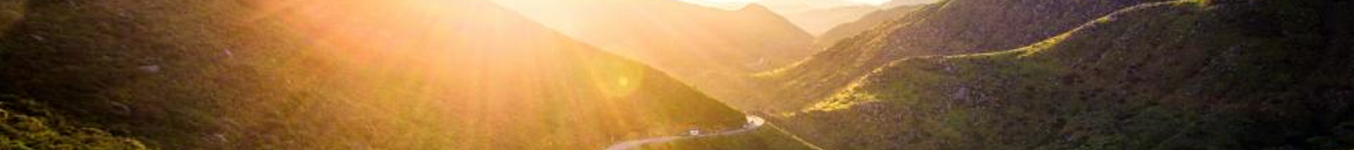 世界杯投注网站