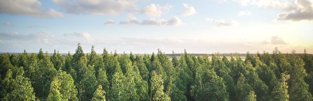 世界杯投注网站