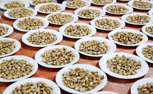 世界杯投注网站